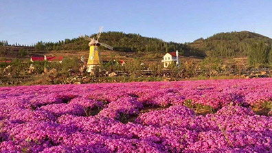 “特色小镇”和“田园综合体”之间有关系吗？有融合发展的可能吗？