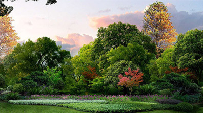彩叶植物在园林设计中的必要性