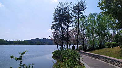 湿地景观在现代景观设计中的几点作用总结