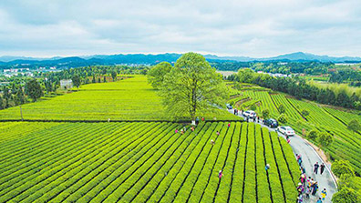 农业特色小镇建设的优点和功能
