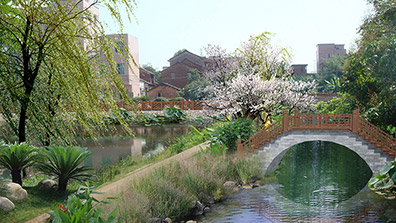 颜值高，亮点显！因地制宜推进美丽圩镇规划设计