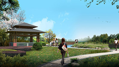 精雕细琢，打造独具特色的美丽圩镇