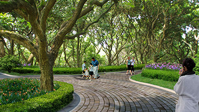 园林景观设计中植物造景要点