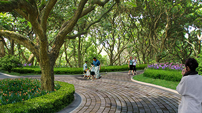 城市园林设计过程中的植物配置方法